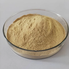 Water Soluble Feed/Food Grade Chitosan Hydrochloride CAS 70694-72-3 Manufacturer supply