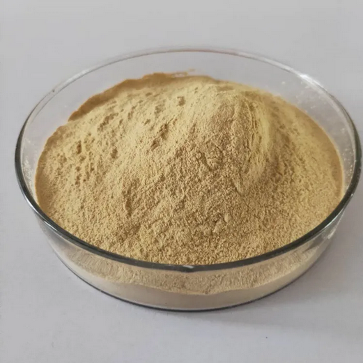 Water Soluble Feed/Food Grade Chitosan Hydrochloride CAS 70694-72-3 Manufacturer supply