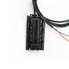 ECU Programming Diagnostic Detection Cable for AGCO Diesel Engine 0281020099 0281020170