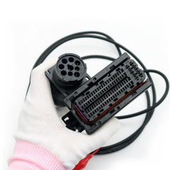 ECU Programming Diagnostic Detection Cable for AGCO Diesel Engine 0281020099 0281020170