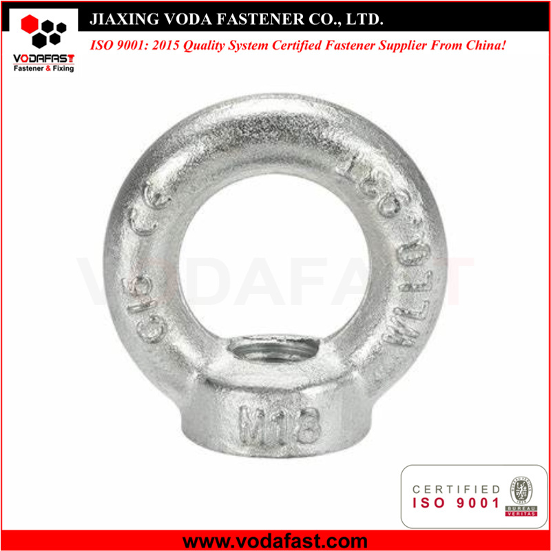 DIN 582 Lifting Nuts