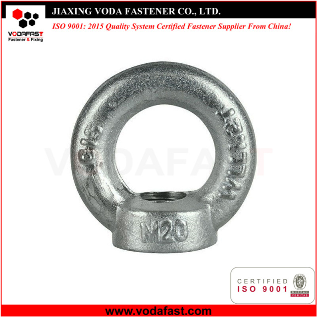 DIN 582 Lifting Nuts