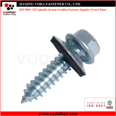 Self Tapping Screws