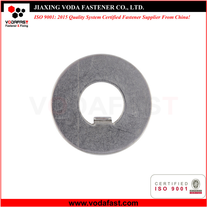 Tab Washers DIN 432 DIN 462 DIN 463 DIN 5406