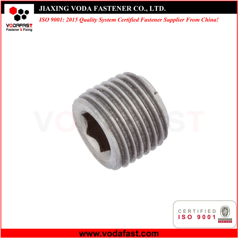 Sealing Plugs DIN 908 DIN 910 DIN 7604