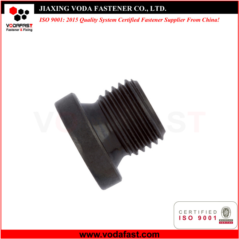 Sealing Plugs DIN 908 DIN 910 DIN 7604