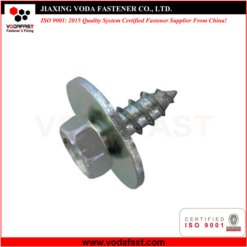 Special Customized Tapping Screws