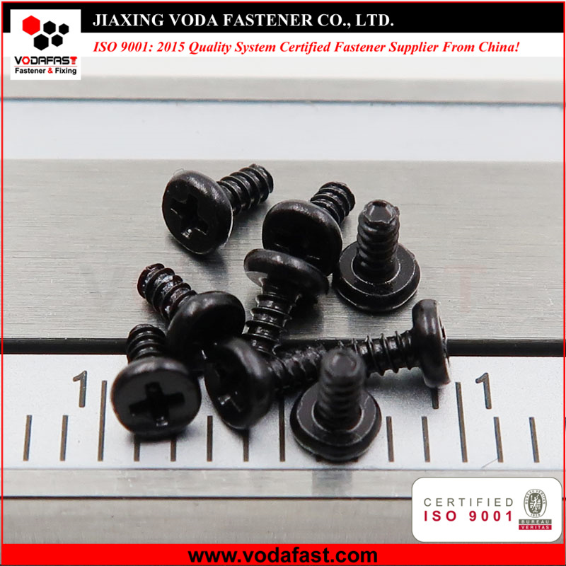 Micro Screws