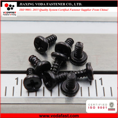 Micro Screws