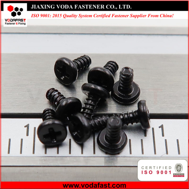 Micro Screws