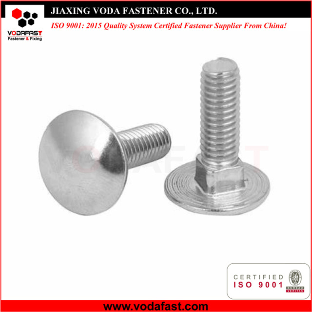 Stainless Steel Carriage Bolts