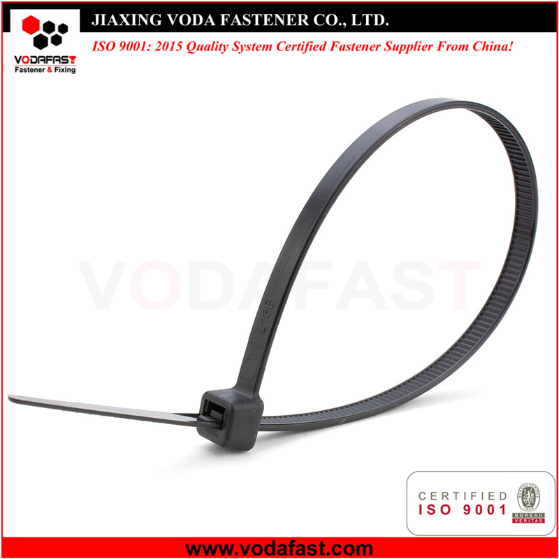 Cable Tie