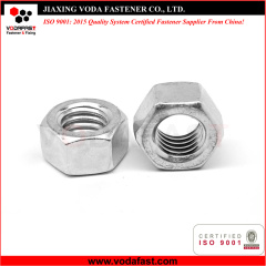 Stainless Steel Hex Nuts