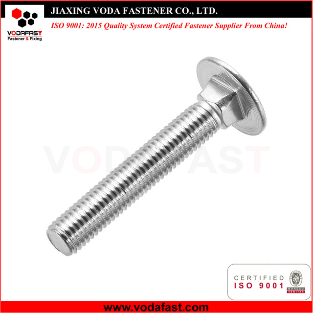 Stainless Steel Carriage Bolts