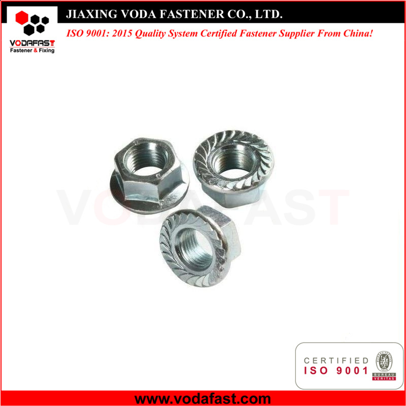 Stainless Steel Flange Nuts