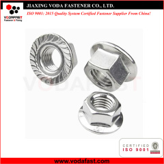 Standard Hex Flange Nuts made of Steel and Stainless Steel