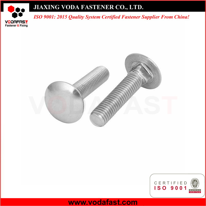 Stainless Steel Carriage Bolts