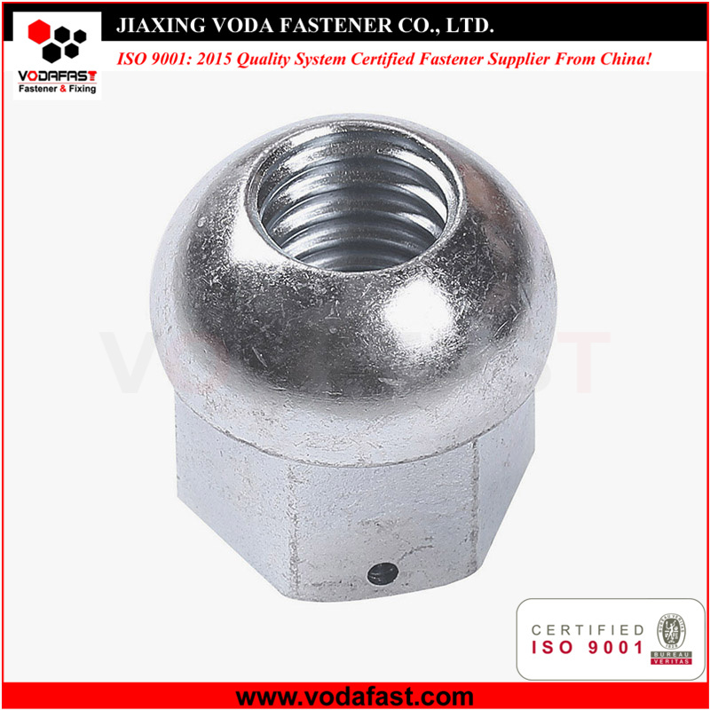 Customized Non-standard Special Nut
