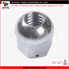 Customized Non-standard Special Nut