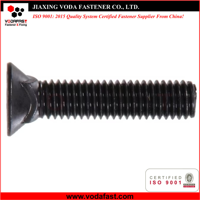Flat Head Square Neck Carriage Bolt Plow Bolt