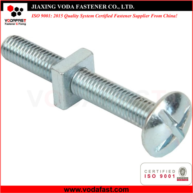 Cross Slotted Roofing Bolt with Square Nut