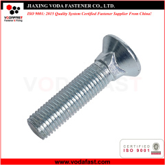 Flat Head Square Neck Carriage Bolt Plow Bolt