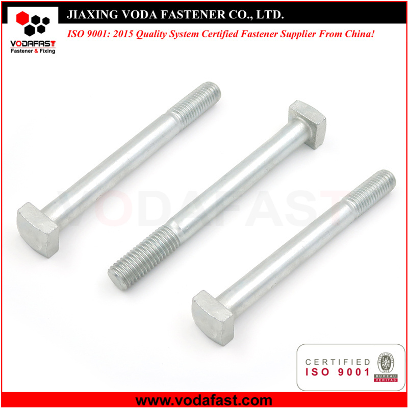 Square Head Bolts