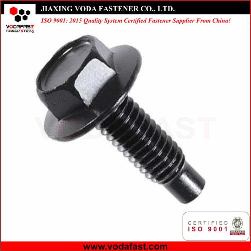 Customized Bolt with Dog Point