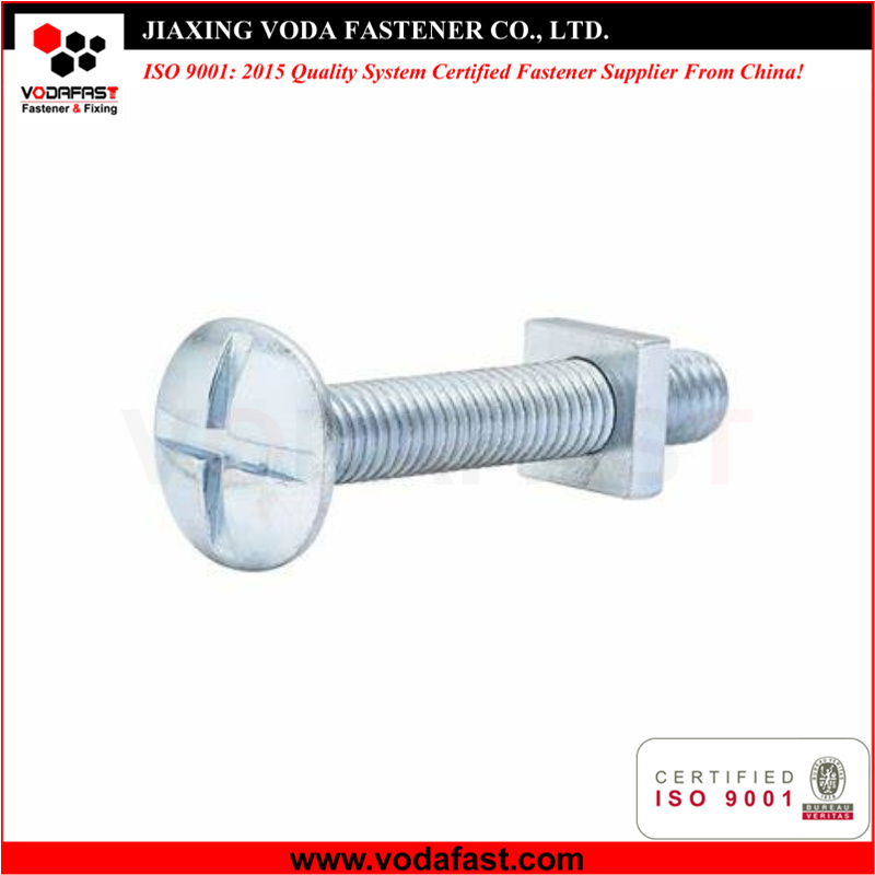Cross Slotted Roofing Bolt with Square Nut