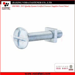Cross Slotted Roofing Bolt with Square Nut