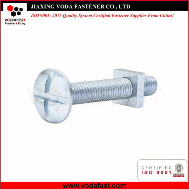 Cross Slotted Roofing Bolt with Square Nut
