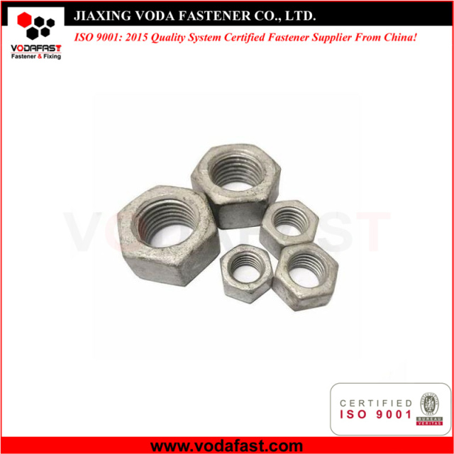 Hex Nuts