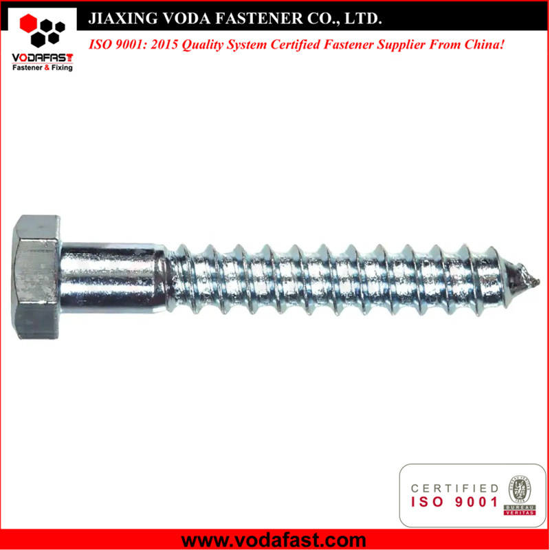 Hex Head Lag Screw Bolt