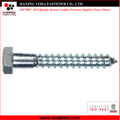 Hex Head Lag Screw Bolt