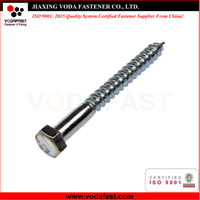 Hex Head Lag Screw Bolt