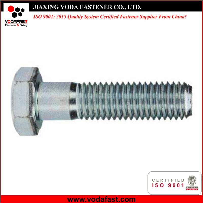 Hex Bolts