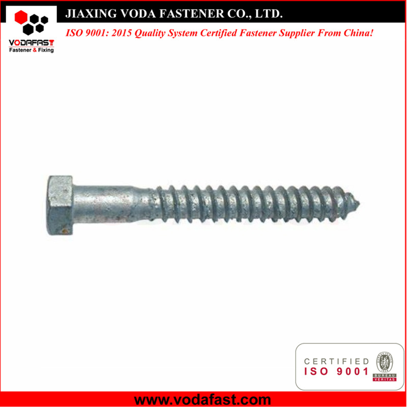 Hex Head Lag Screw Bolt