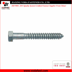Hex Head Lag Screw Bolt