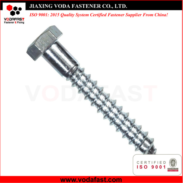 Hex Head Lag Screw Bolt