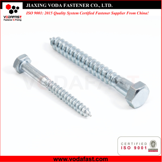 Hex Head Lag Screw Bolt