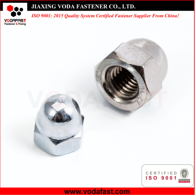 Hex Cap Nuts made of Steel and Stainless Steel