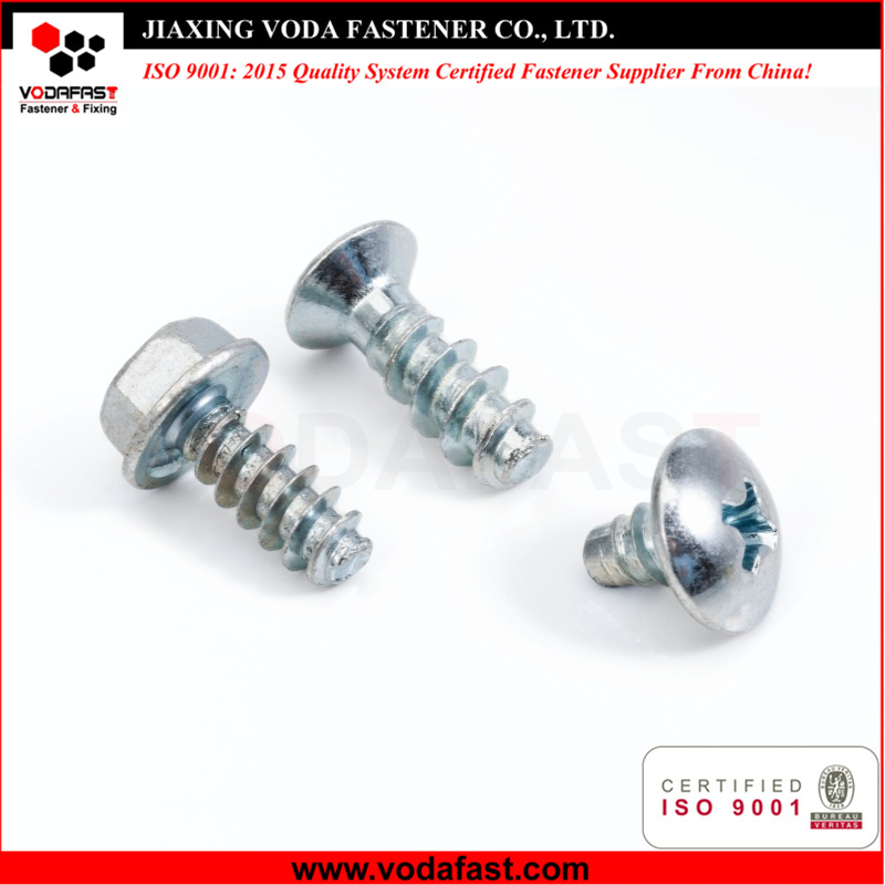 Special Customized Tapping Screws