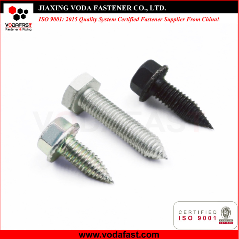 Special Customized Tapping Screws