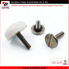Special Customized Machine Screws