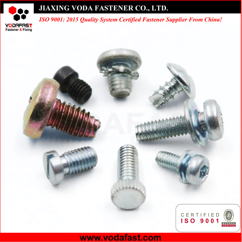 Micro Screws
