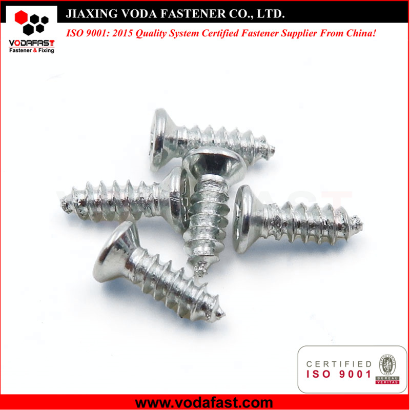 Micro Screws