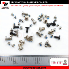 Micro Screws