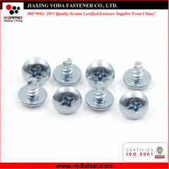 Special Customized Tapping Screws