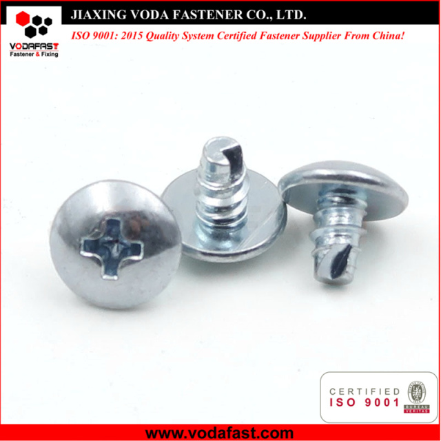 Special Customized Tapping Screws