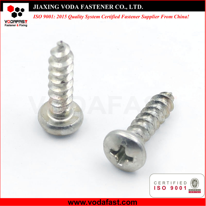 Self Tapping Screws